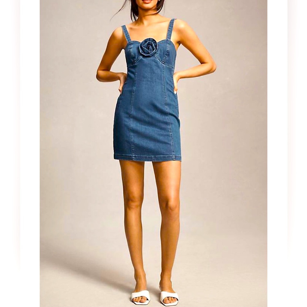 ANTHROPOLOGIE Porridge Rosette Denim Slim Mini Dress